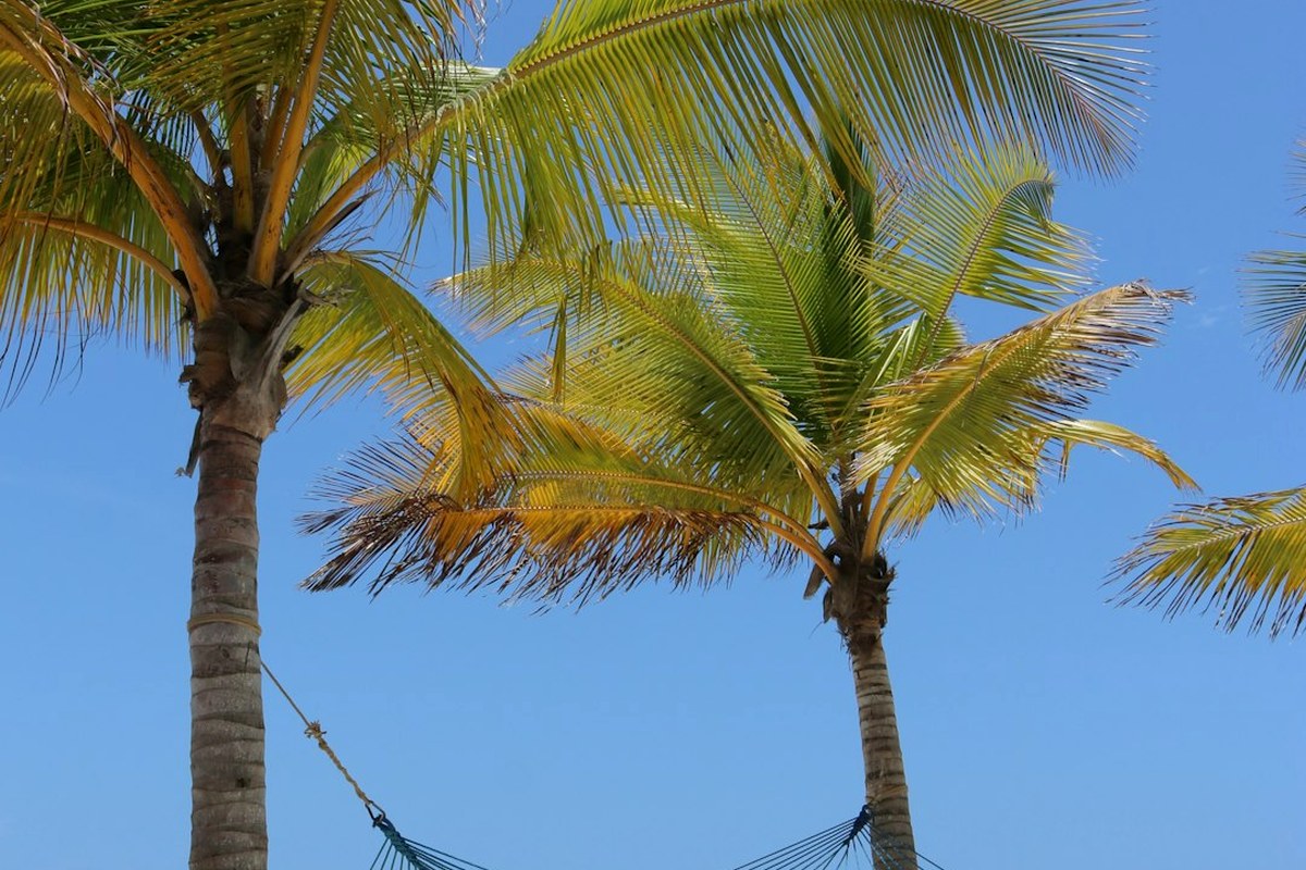 Zanzibar 3 Days 2 Nights Package