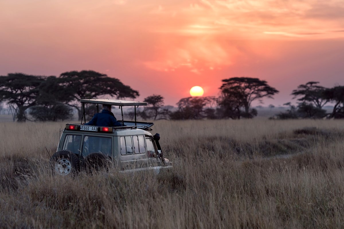 6-Day Mid-Range Highlights of Tanzania Safari